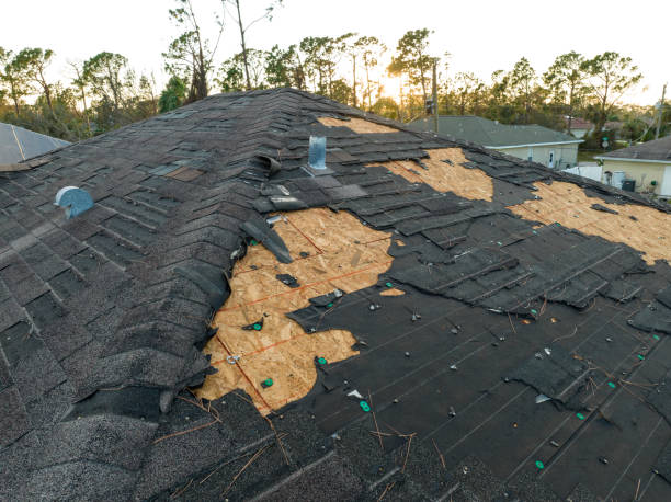 Best Cold Roofs  in Live Oak, TX